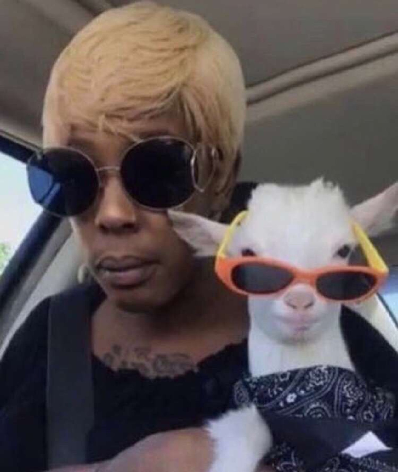 Woman in sunglasses next to a goat also wearing sunglasses, both deadpan