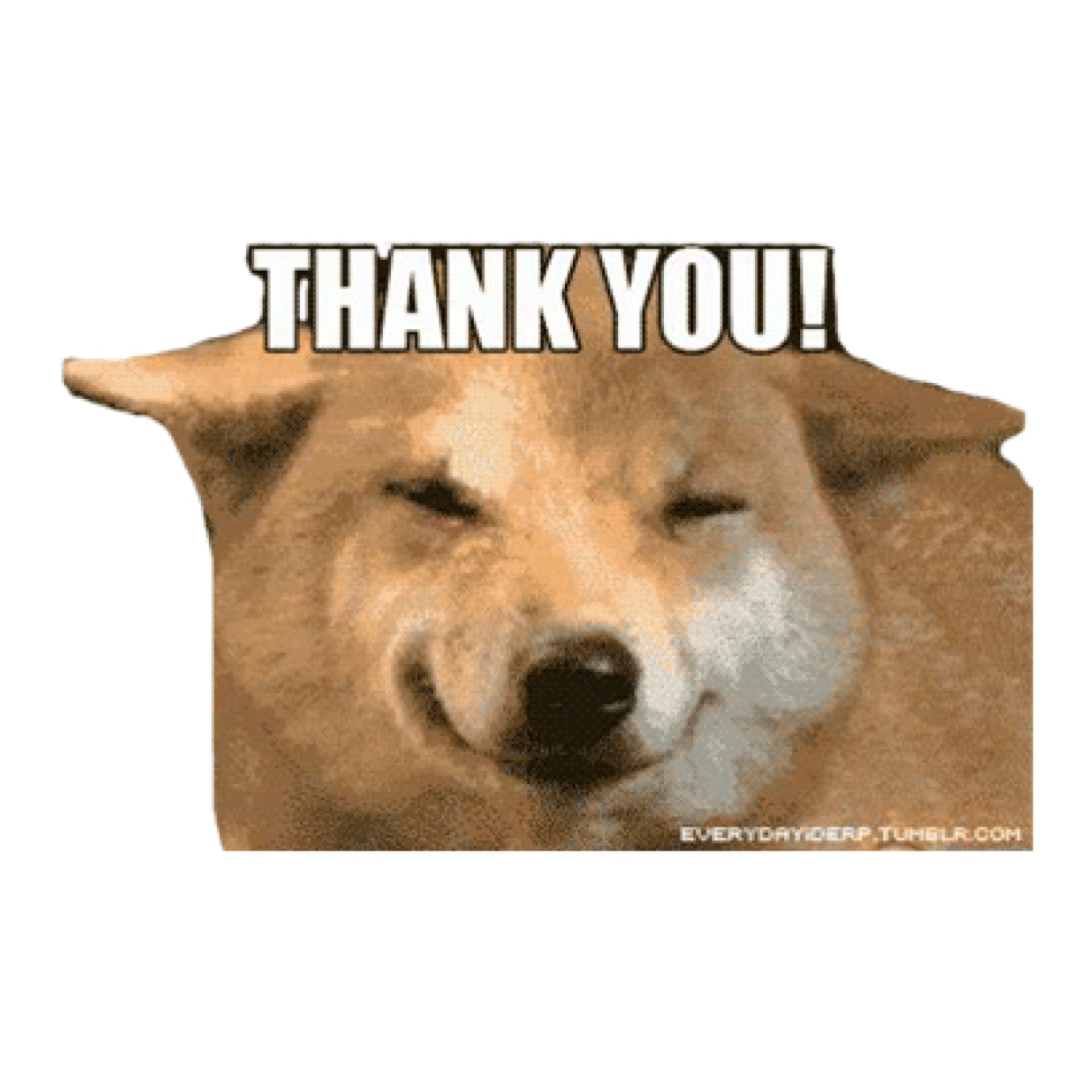 Smiling dog sticker: 'THANK YOU!'