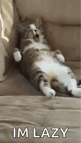 Cat sprawled on its back on a couch yawning, "I'm lazy"