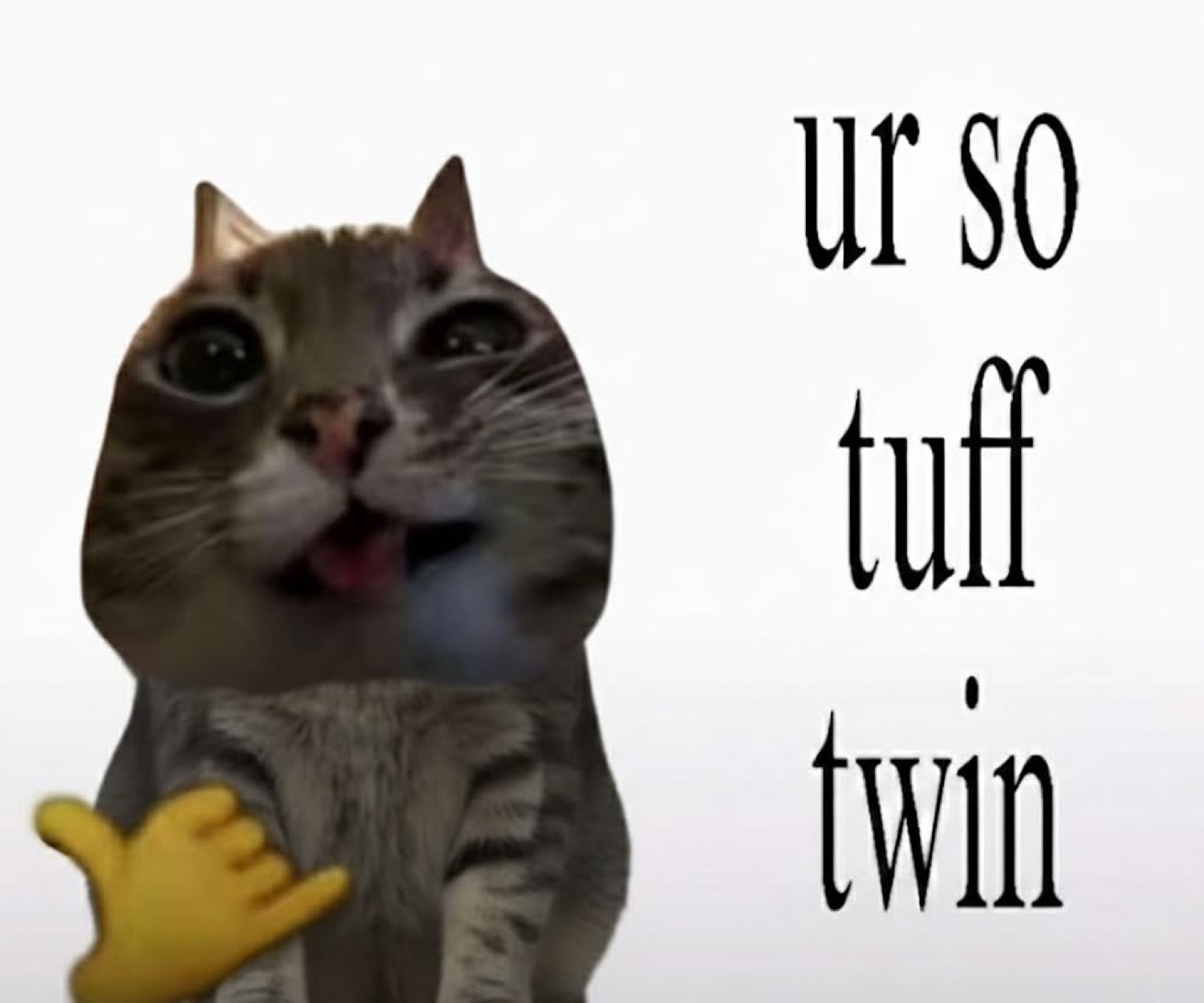 Cat with a big open smile giving a thumbs up, captioned 'ur so tuff twin'