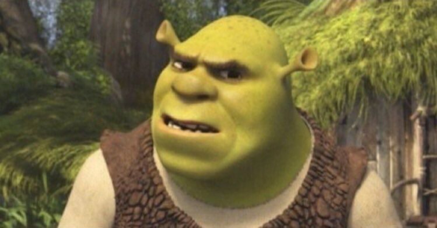 Shrek in the forest with a raised brow and an annoyed, unimpressed frown