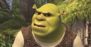 Shrek in the forest with a raised brow and an annoyed, unimpressed frown