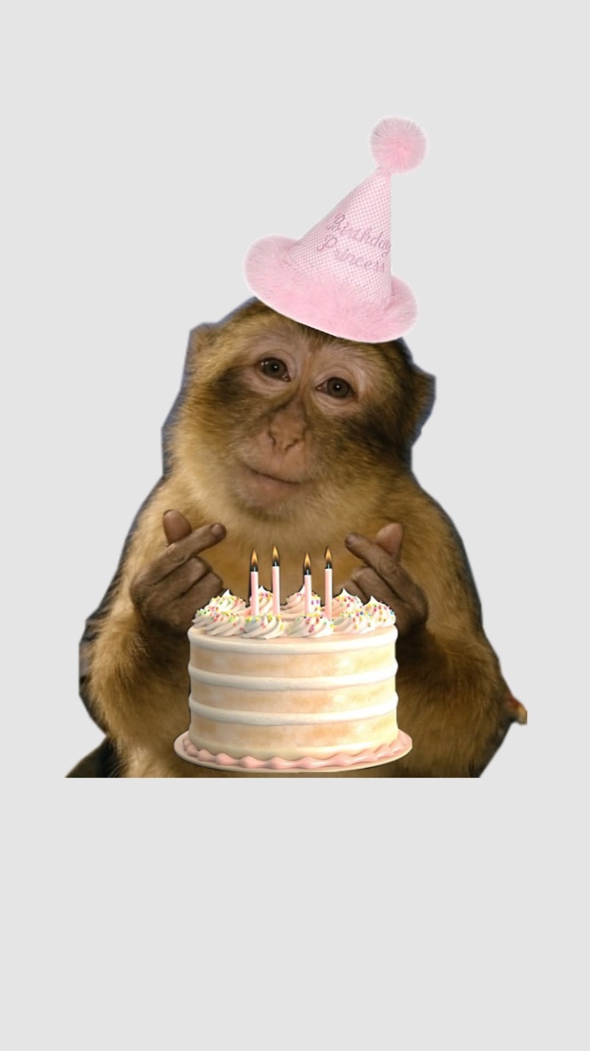 Monkey in a pink party hat holding a birthday cake with candles