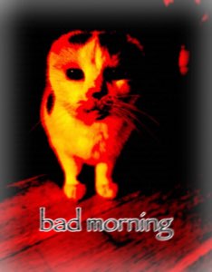 Red-lit glowing-eyed cat: 'bad morning'
