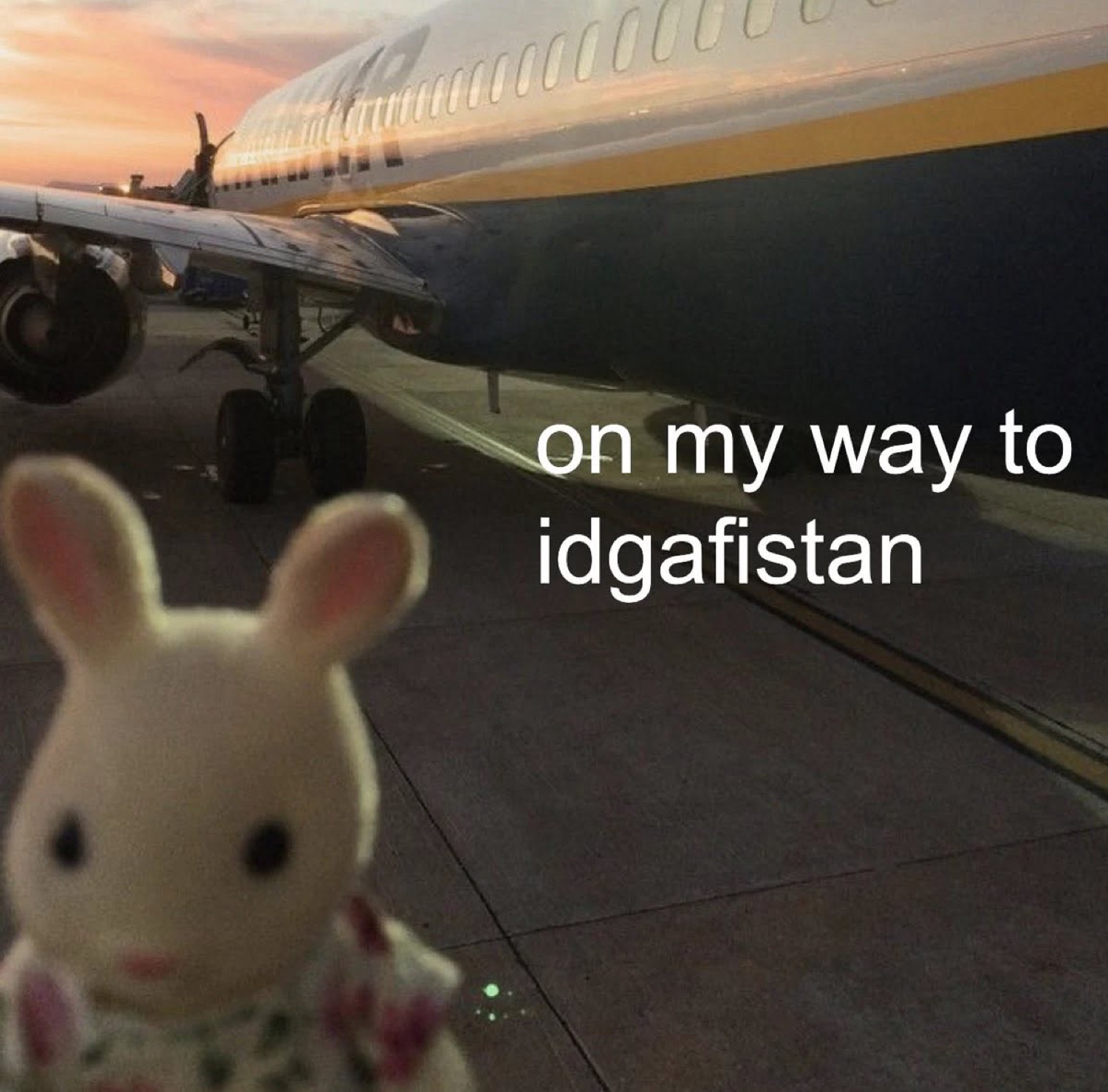 Plush bunny at an airport: 'on my way to idgafistan'