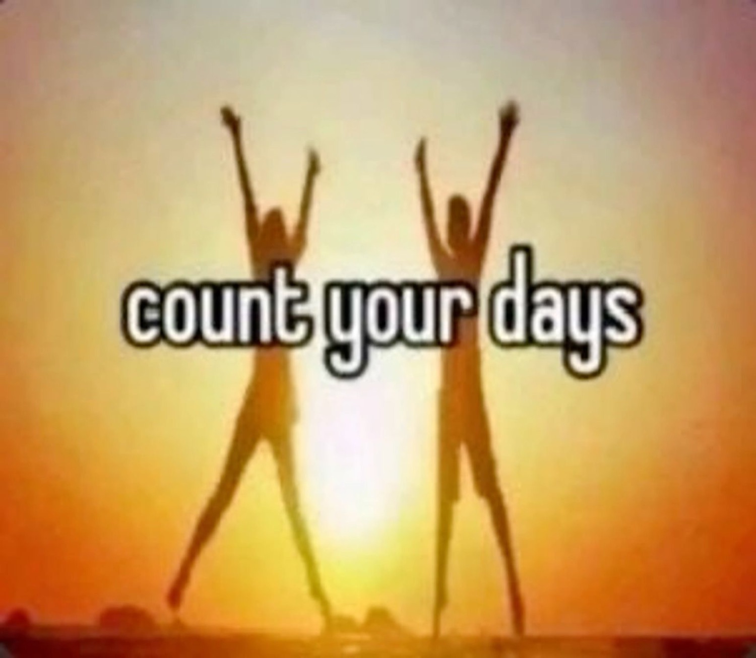 Two silhouettes jumping joyfully at sunset with the caption 'count your days'