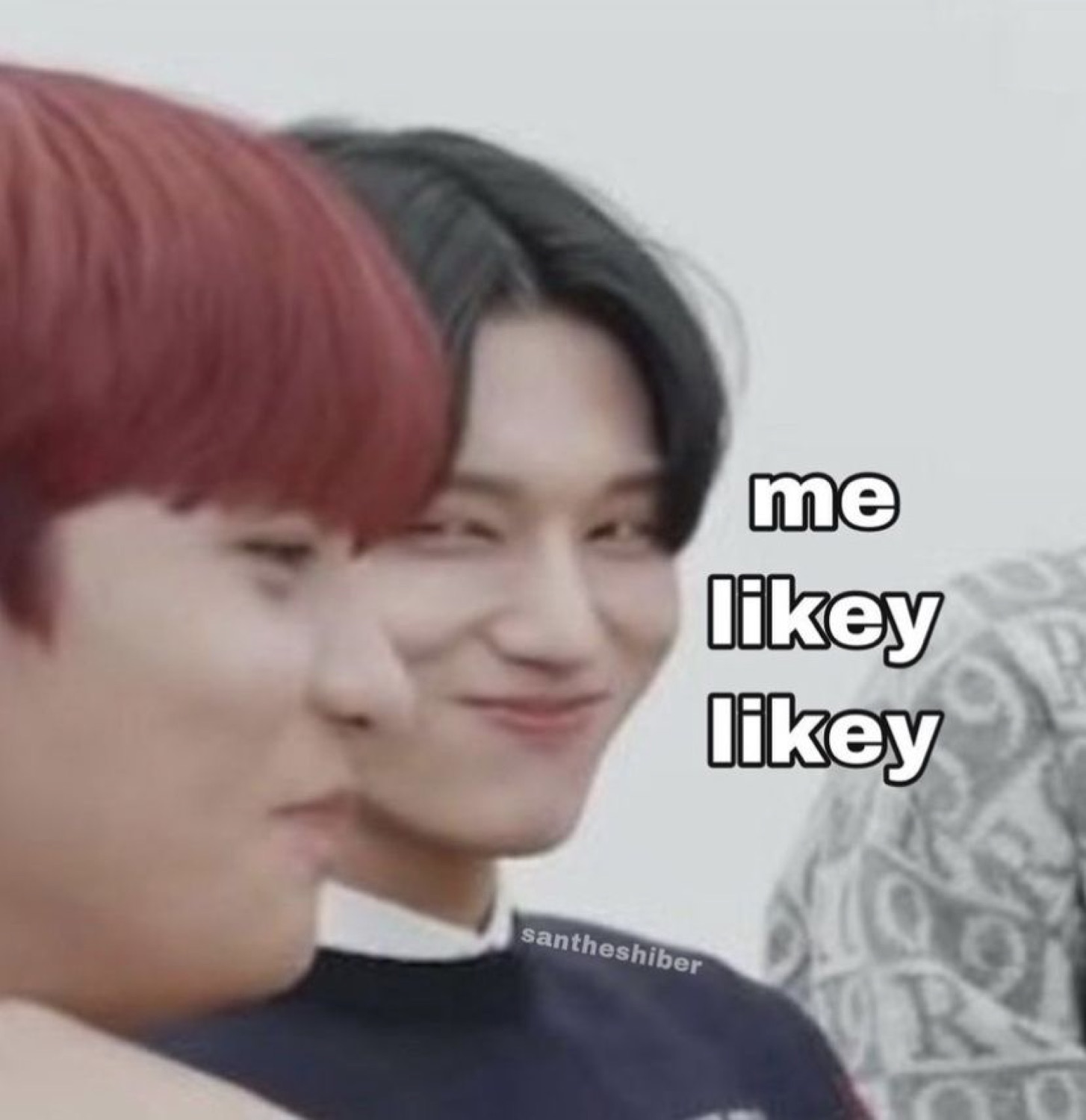 K-pop idol smirking sideways with 'me likey likey' text as another group member's head fills the foreground