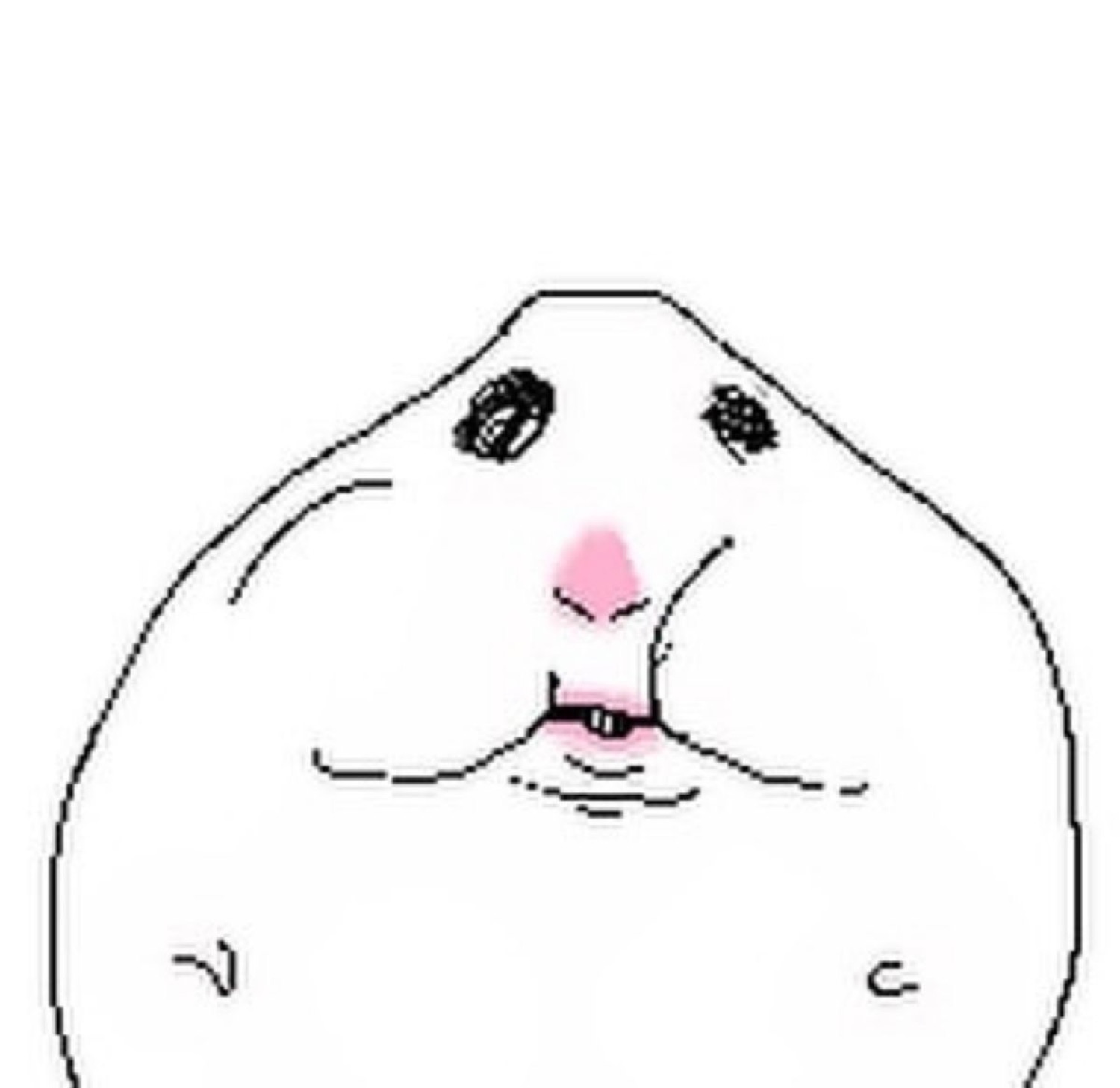 Crudely drawn round animal face with beady eyes and a tiny blank smile