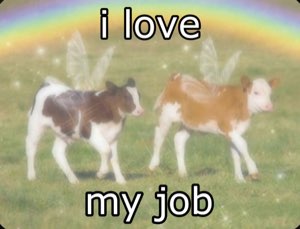 Two calves with fairy wings under a rainbow captioned 'i love my job'