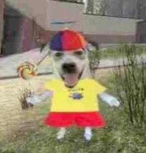 Dog photoshopped into a kid's outfit with a lollipop, mouth open mid-yell