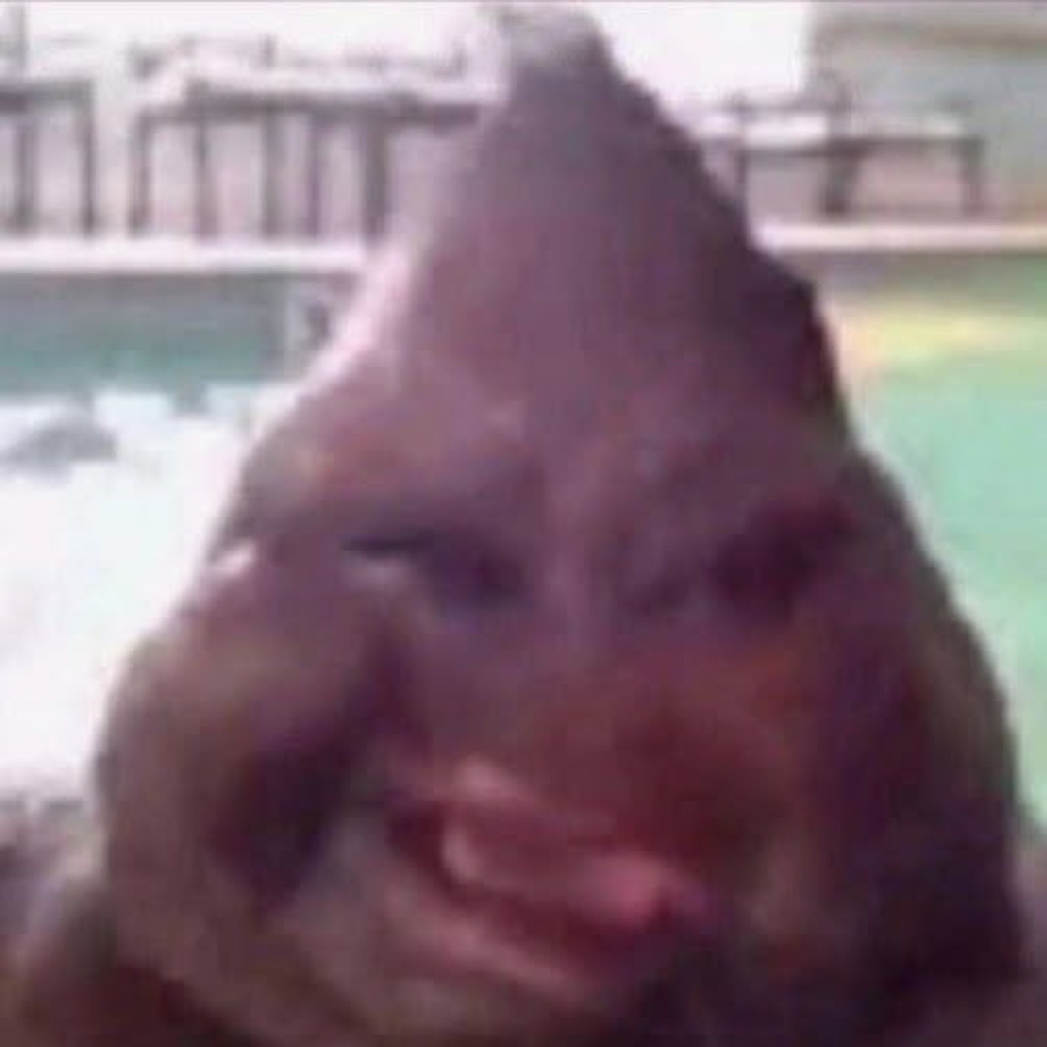 Distorted, stretched-out animal face pulling a goofy grimace by a pool