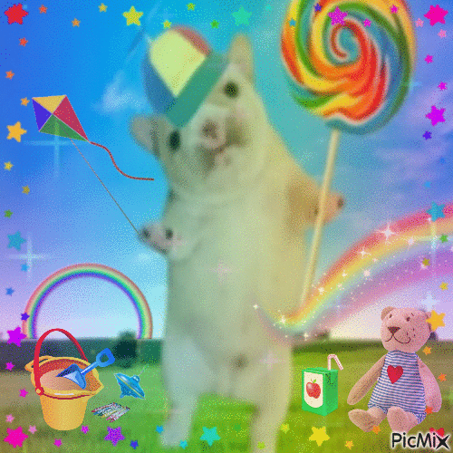 Corgi standing upright on a rainbow glitter background holding a giant lollipop