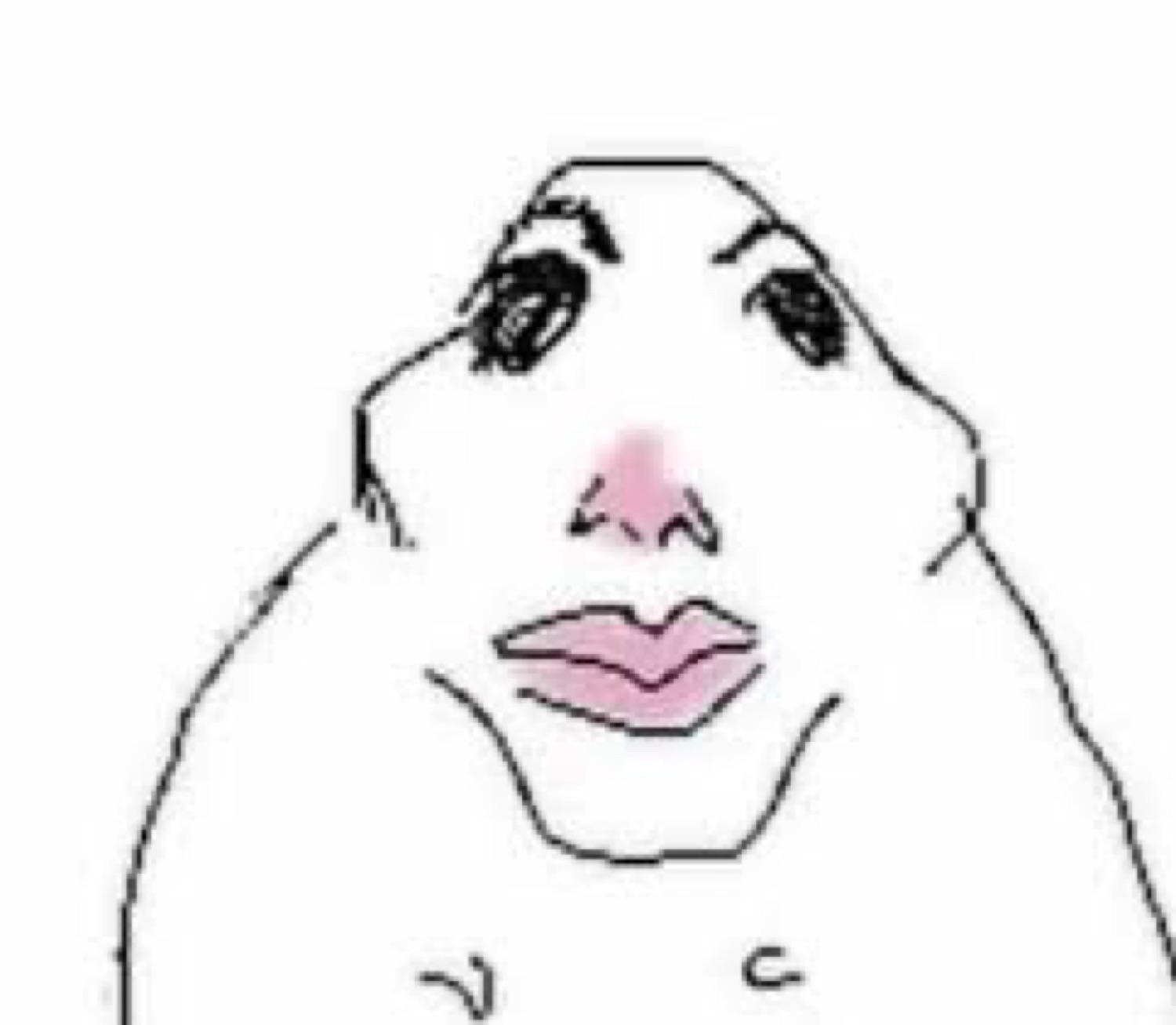 The 'has no idea' blob meme character staring blankly with pouty lips