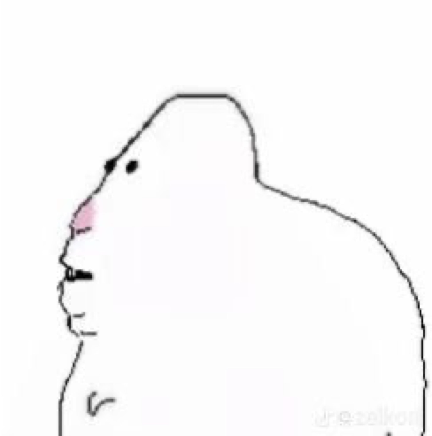 White doodle blob in profile with its chin lifted, thoroughly unbothered