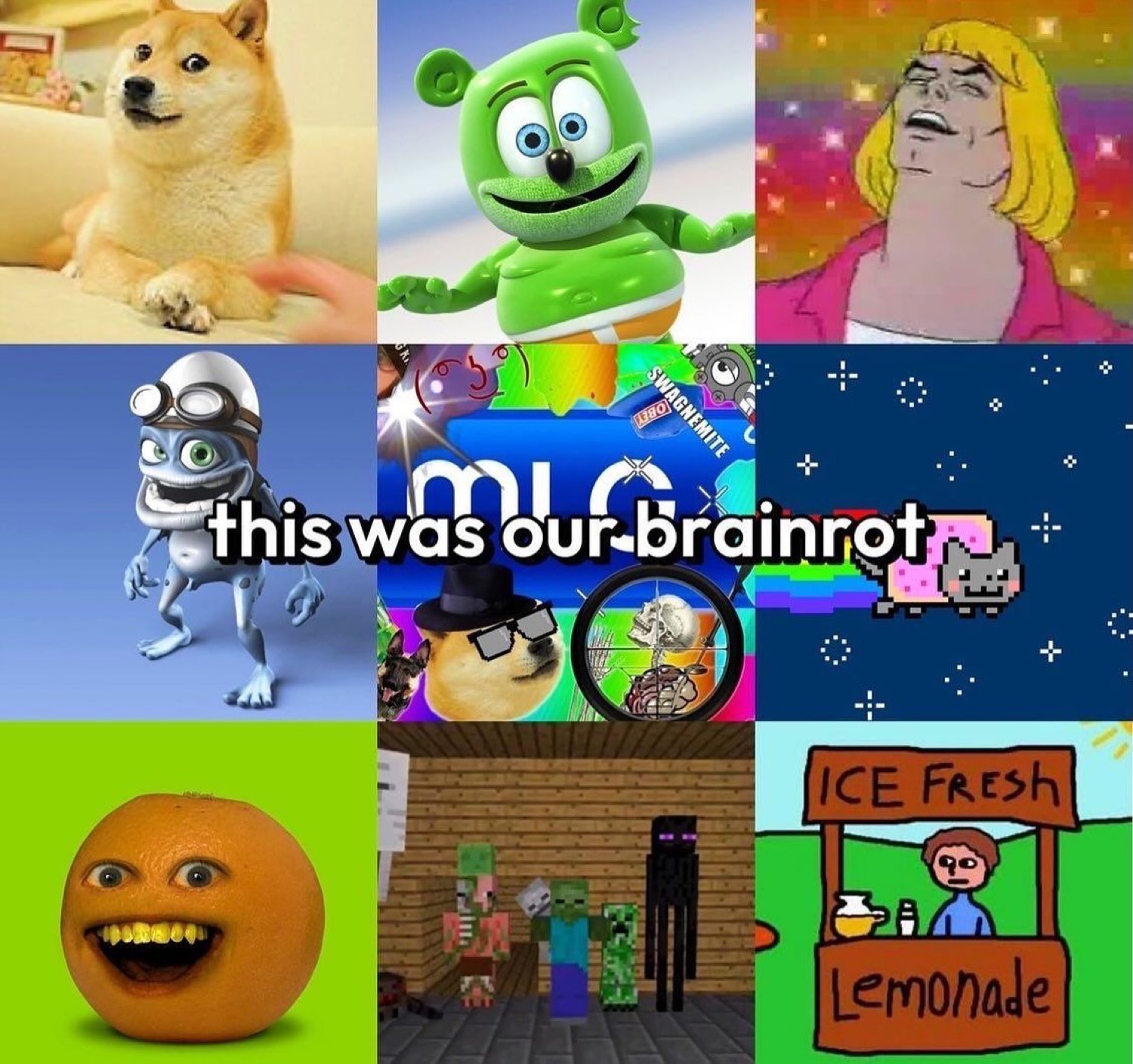 Collage of Doge, Gummy Bear, Crazy Frog, Nyan Cat, Annoying Orange and Minecraft: 'this was our brainrot'