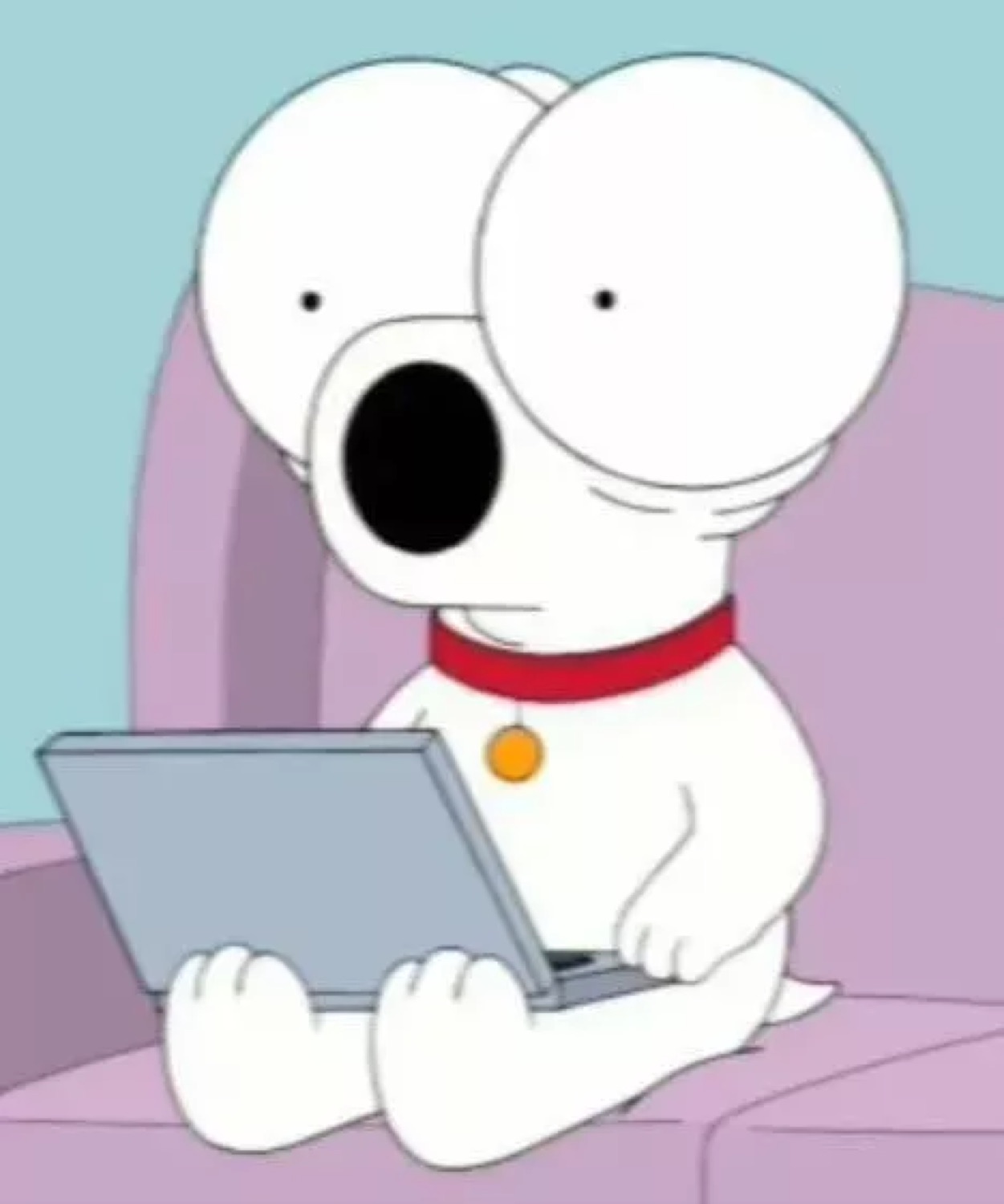 Brian Griffin on the couch with a laptop, staring into the void