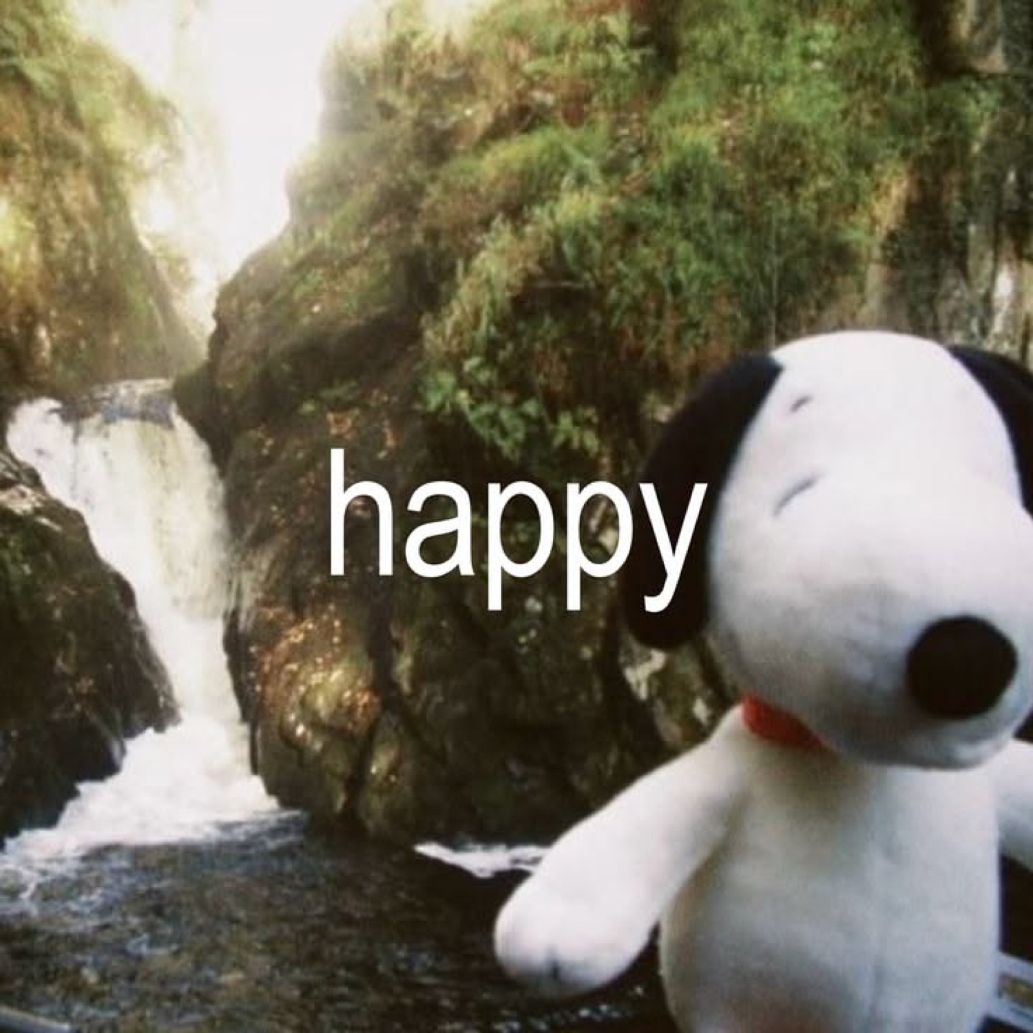 Snoopy plush smiling by a mossy waterfall with the word 'happy' over it