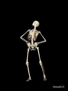 Skeleton dancing with its hands on its hips on a black background