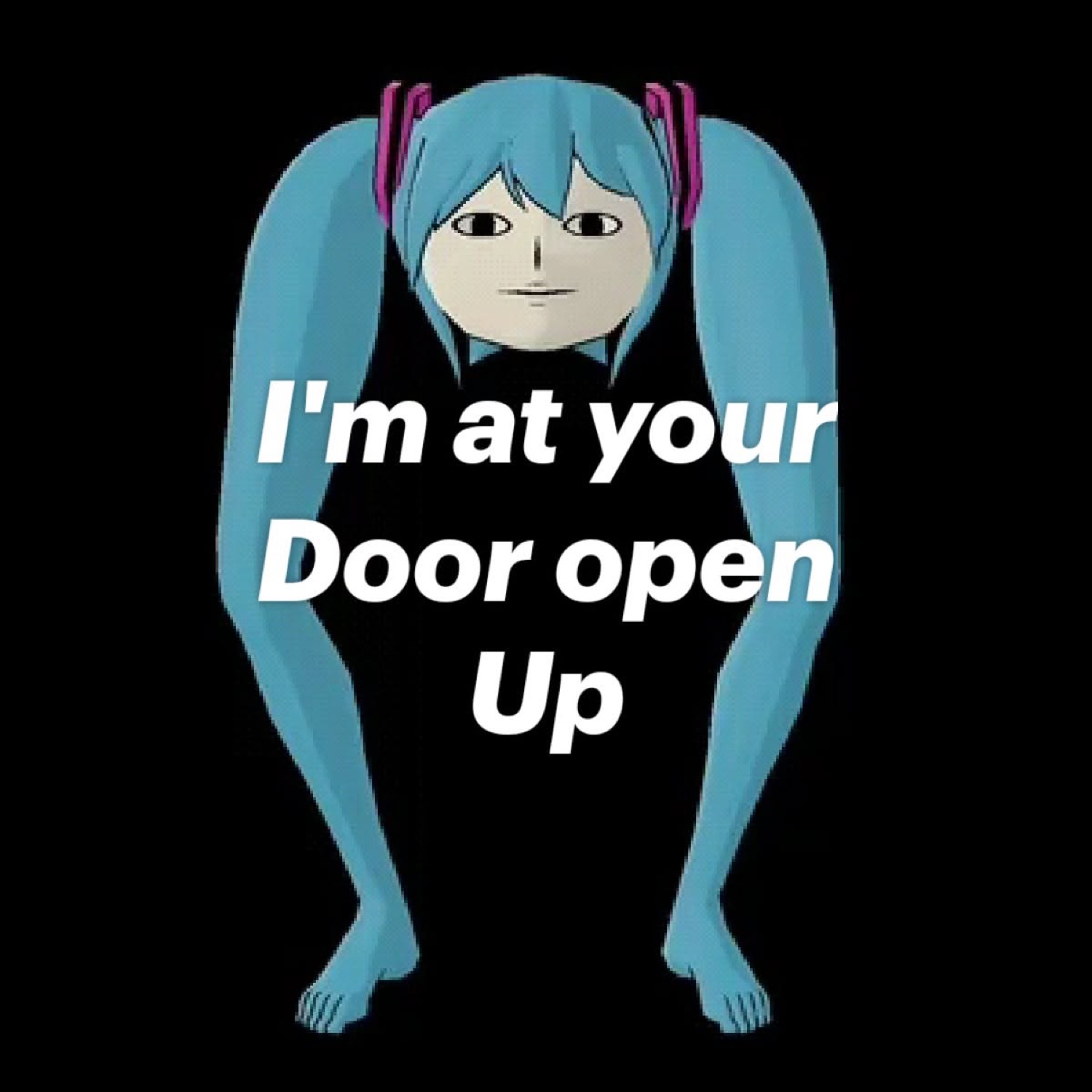 Wide-faced Hatsune Miku crouching with 'I'm at your Door open Up'