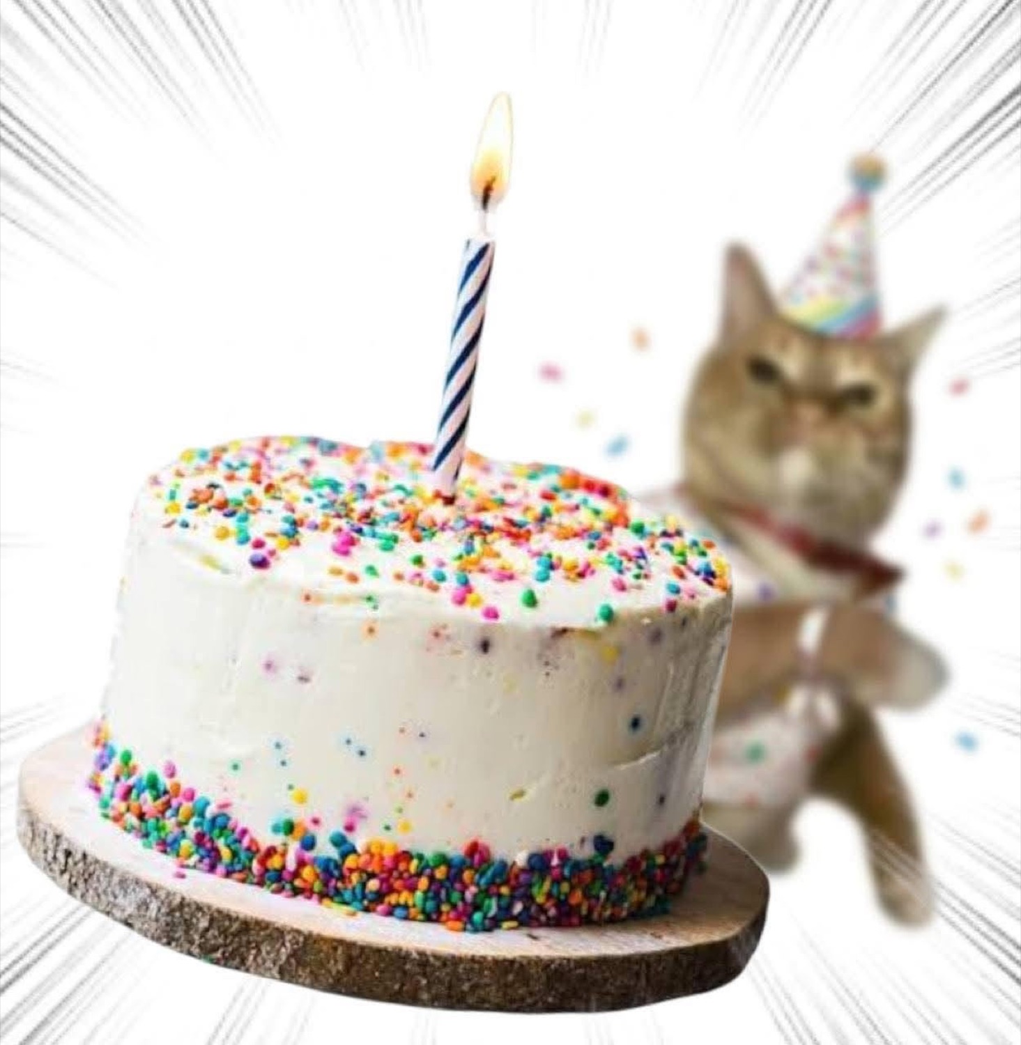 Cat in a party hat peeking from behind a sprinkle birthday cake with one candle