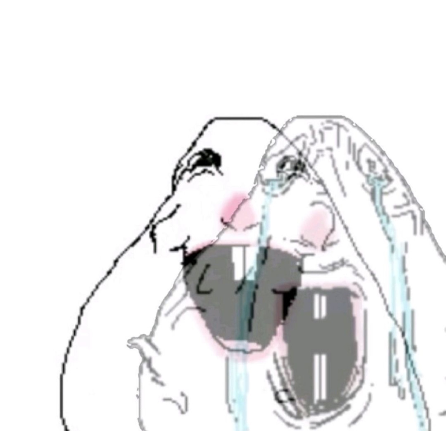 Blurry wojak crying face with tears streaming down, overwhelmed with emotion