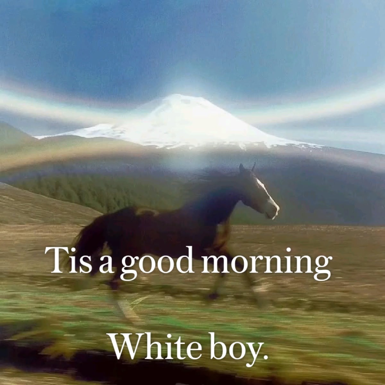 Horse running across a misty meadow: 'Tis a good morning / White boy.'