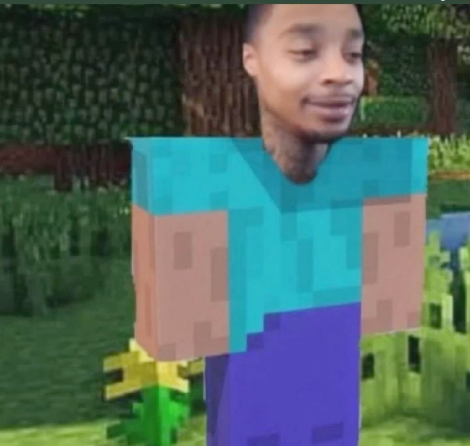Man's face on a Minecraft Steve body in a grassy field