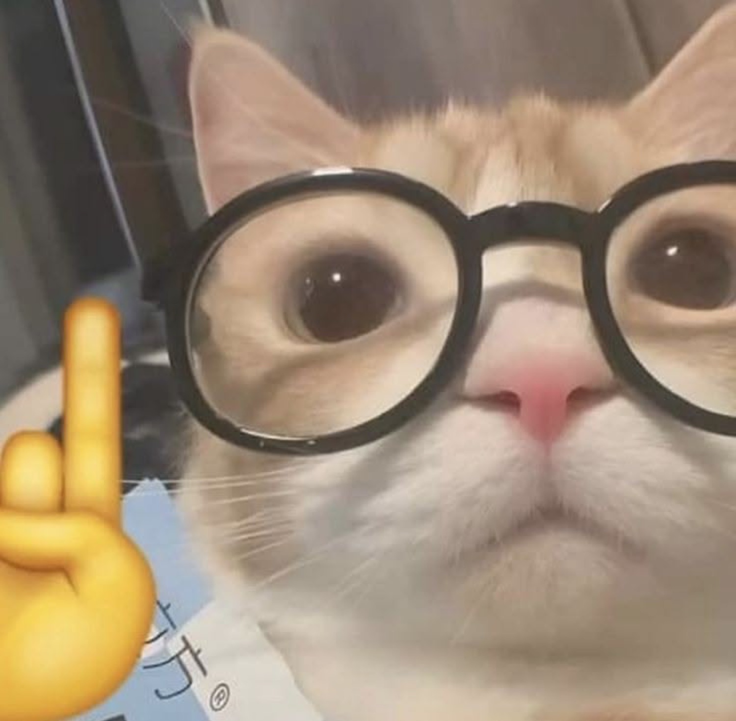 Cat in round glasses holding up a finger like it has a point