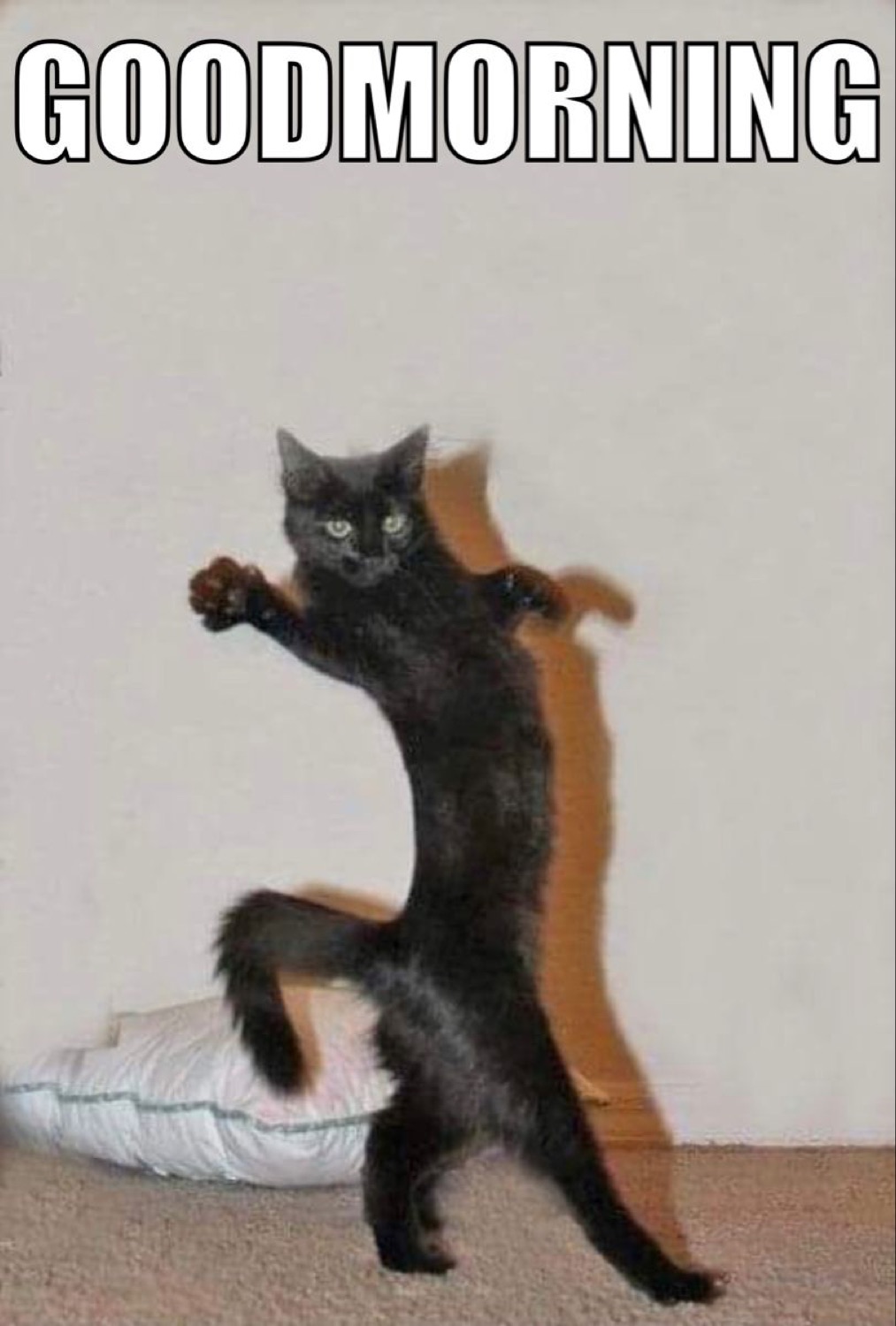 Black cat dancing upright: 'GOODMORNING'