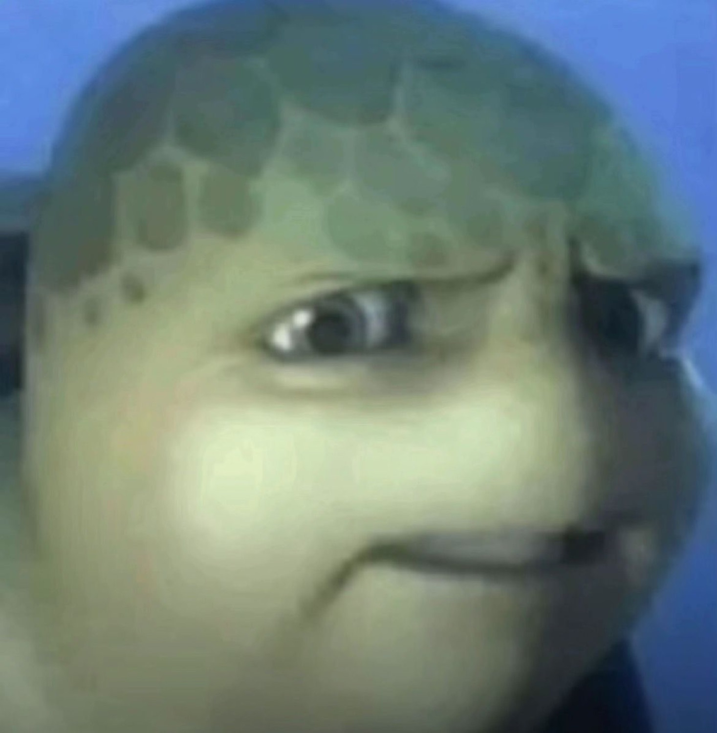 Sea turtle with a chubby face giving a sideways side-eye glare directly into the camera