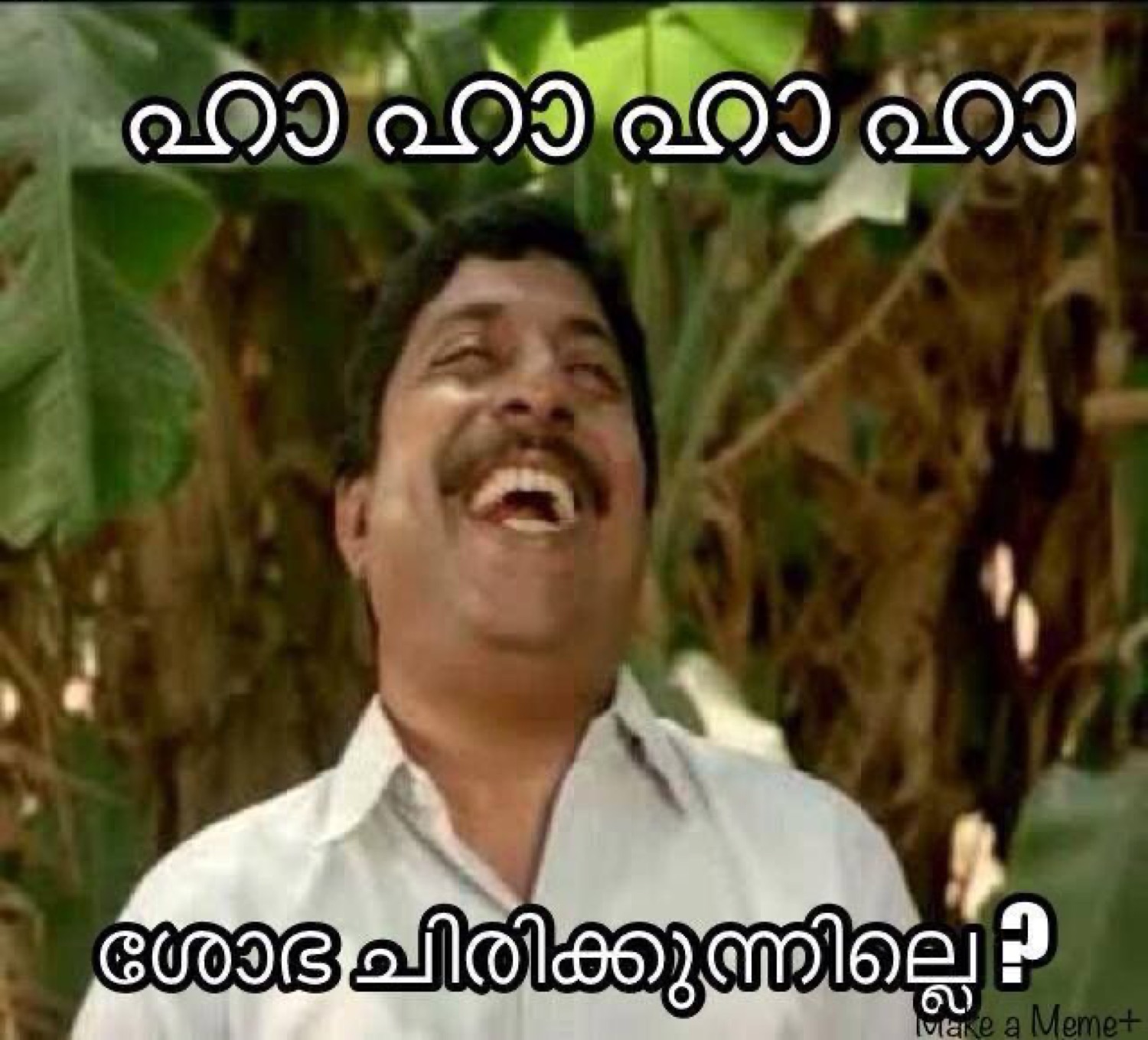 Sreenivasan laughing: 'ഹാ ഹാ ഹാ ഹാ / ശോഭ ചിരിക്കുന്നില്ലേ?'