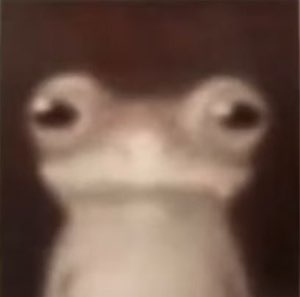 Blurry close-up of a frog staring straight into the camera with big unblinking eyes
