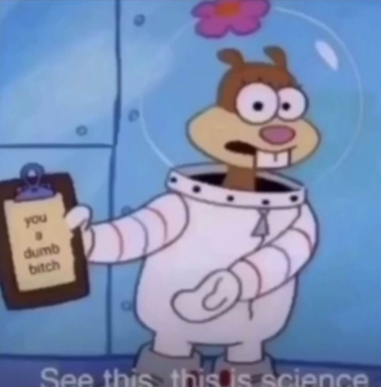 Sandy Cheeks holding a clipboard that says 'you a dumb bitch': 'See this, this is science'