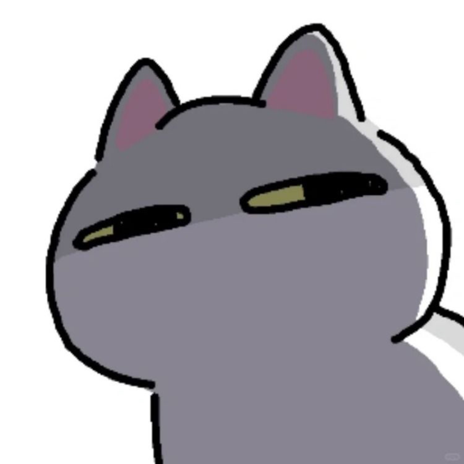 Grey cartoon cat with half-lidded eyes giving a flat, unimpressed stare