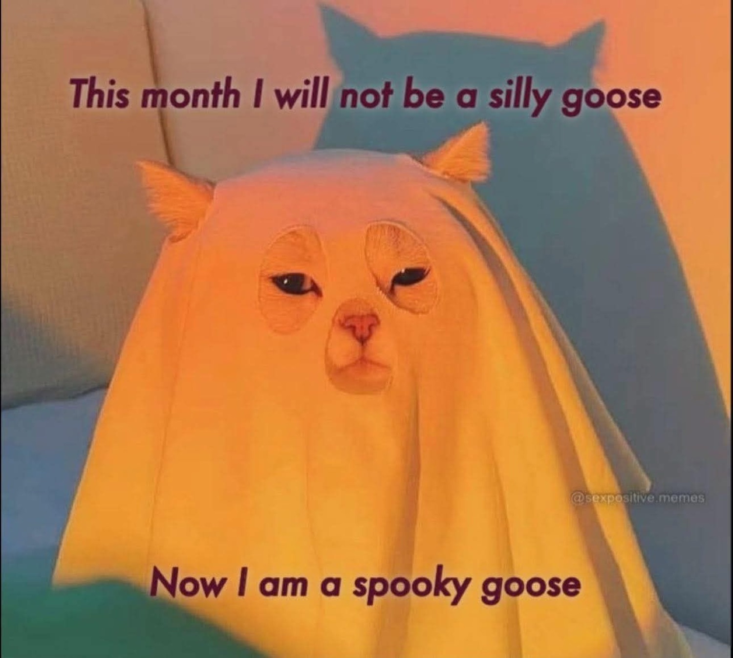 Cat in a ghost sheet under 'This month I will not be a silly goose / Now I am a spooky goose'