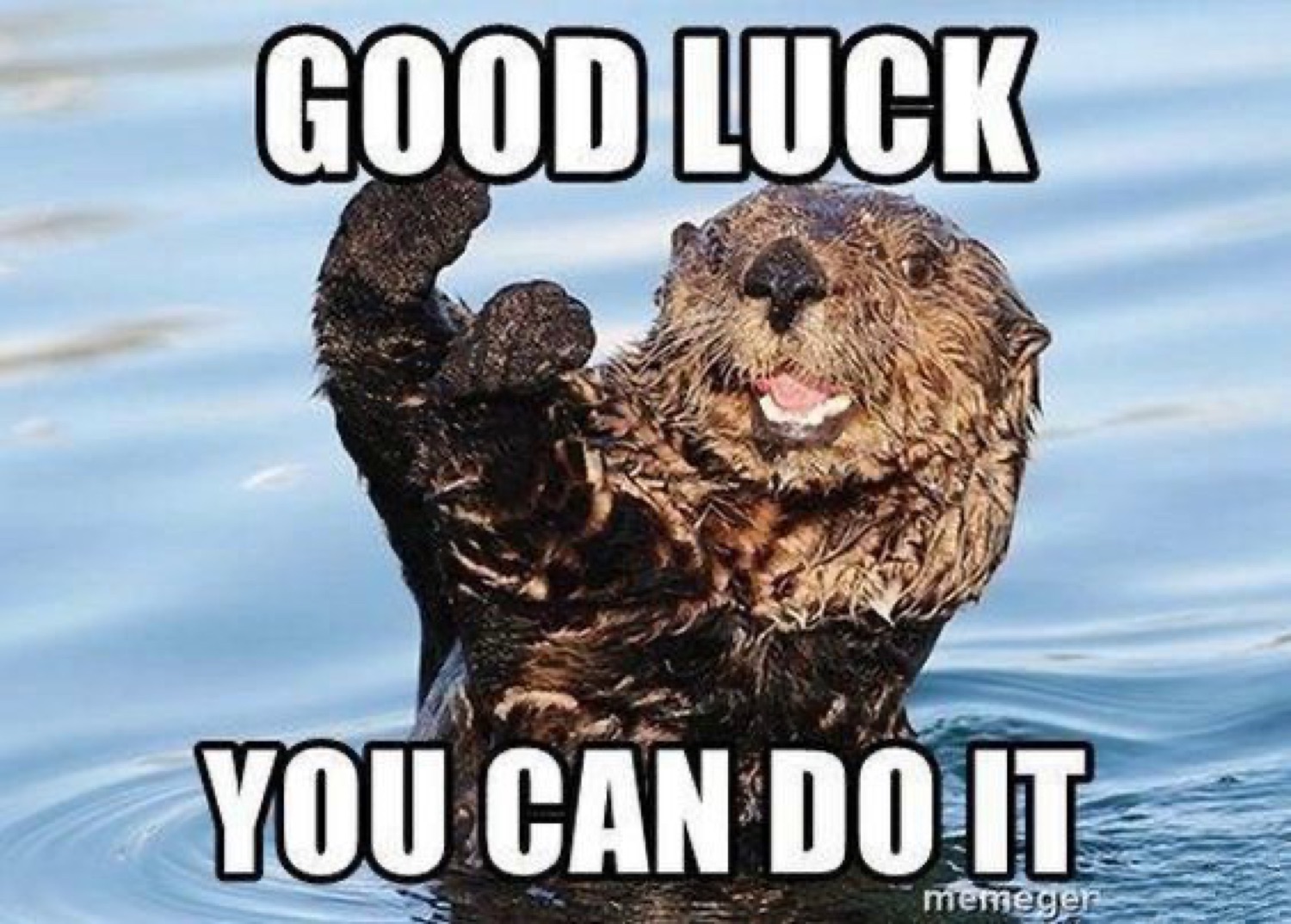 Sea otter waving a fist in the water: 'GOOD LUCK / YOU CAN DO IT'