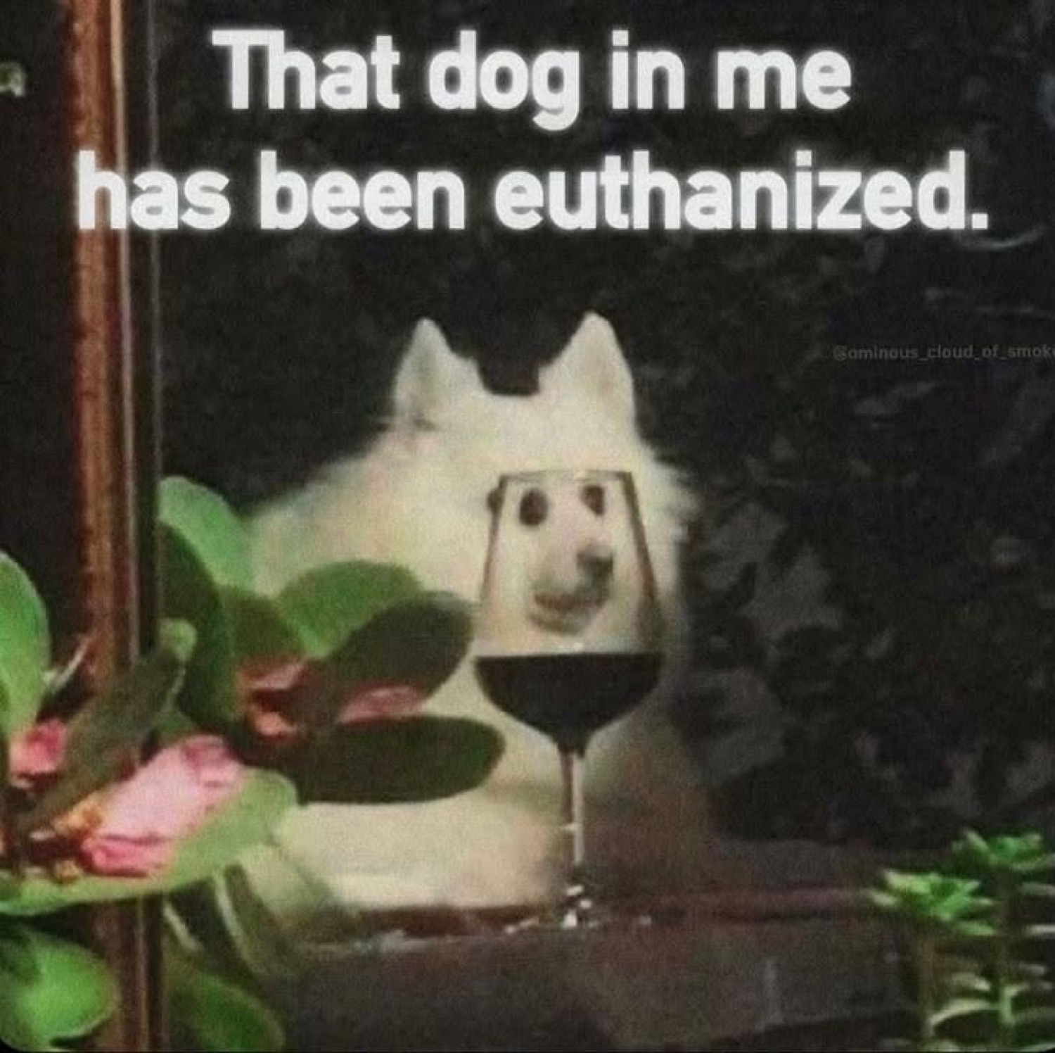 Fluffy white dog sitting stoically with a wine glass, captioned 'That dog in me has been euthanized'