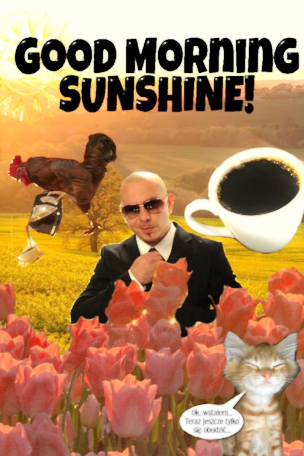 Pitbull in tulips with coffee and a rooster: 'GOOD MORNING SUNSHINE!'
