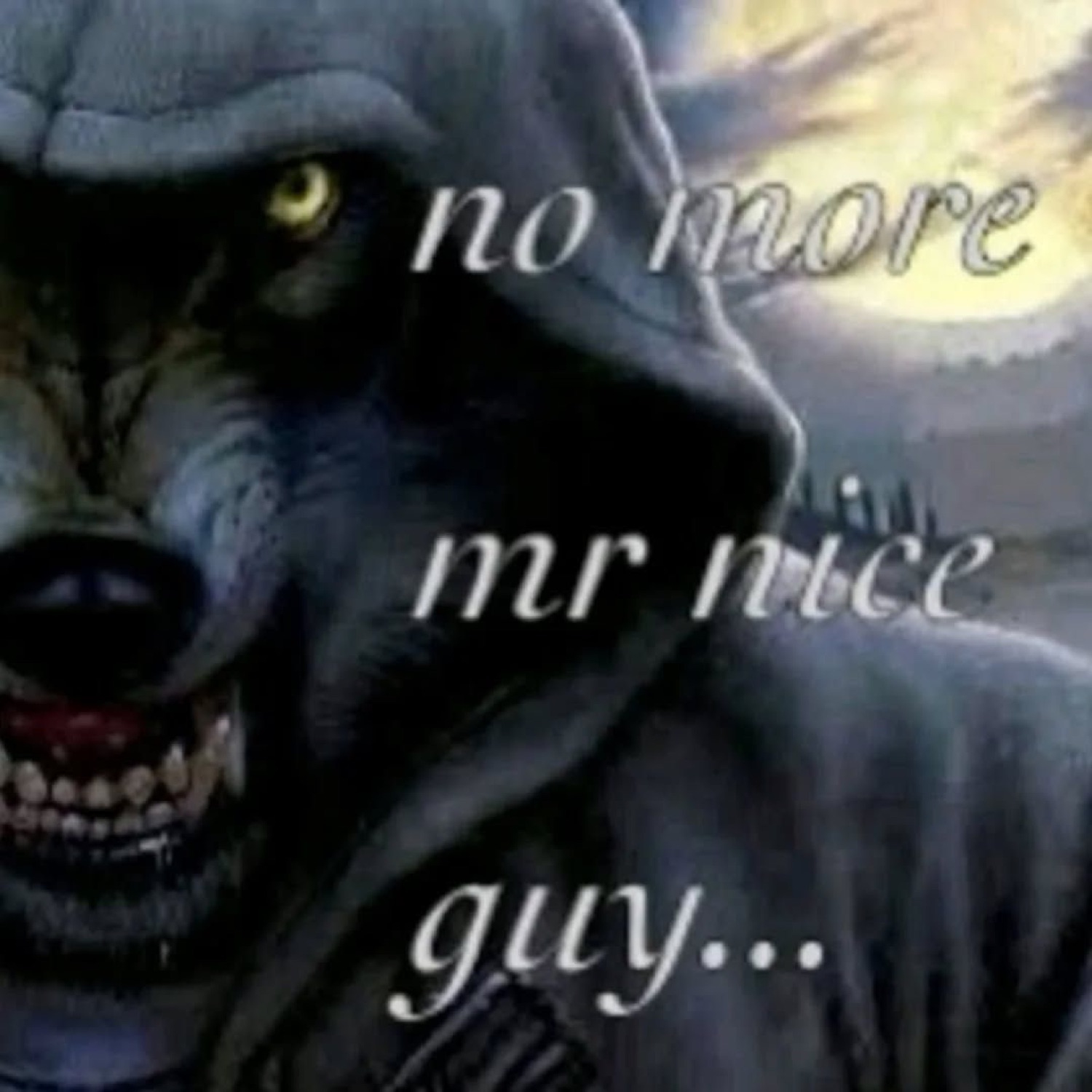 Snarling wolf in a hoodie under moonlight, 'no more mr nice guy...'