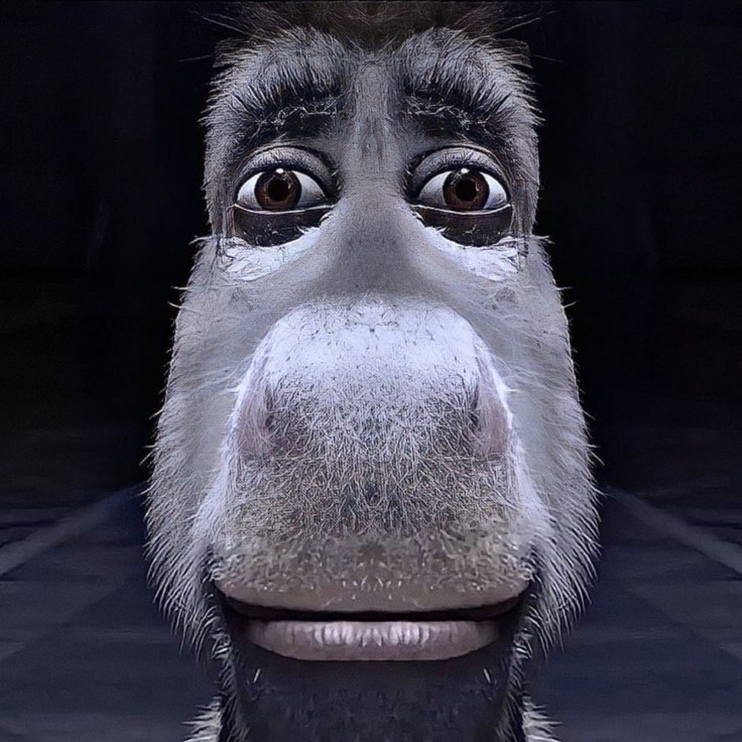 Fisheye close-up of a wide-eyed cartoon donkey looking startled and nervous