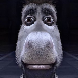 Fisheye close-up of a wide-eyed cartoon donkey looking startled and nervous