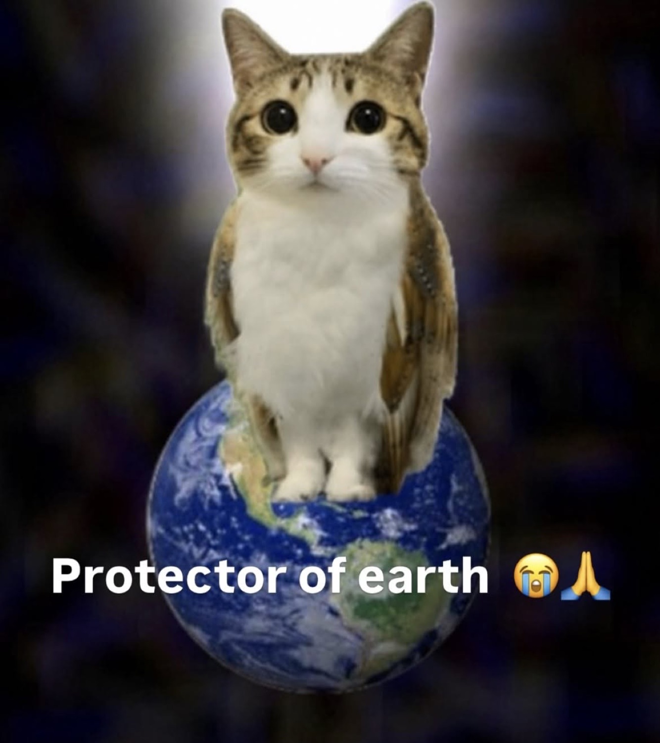 Cat sitting on top of the Earth: 'Protector of earth 😭🙏'