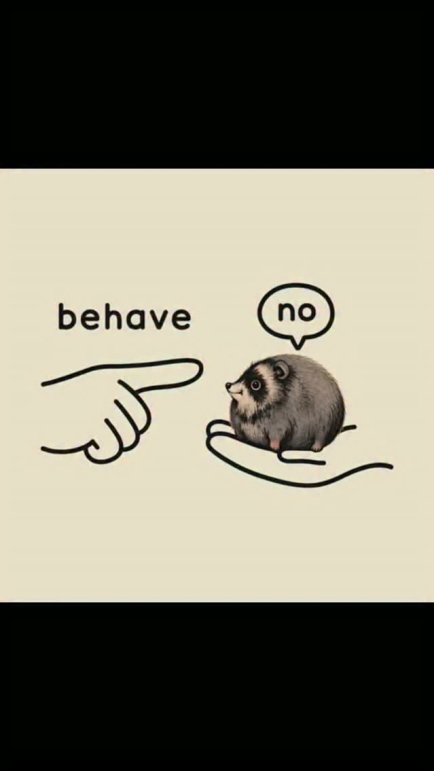 Doodle of a hand pointing at a tiny raccoon saying 'no' to 'behave'