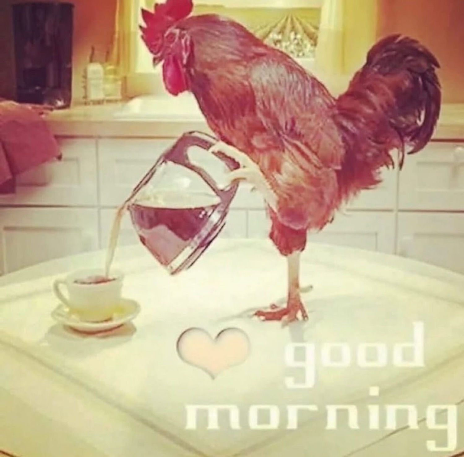 Rooster pouring a pot of coffee: 'good morning'