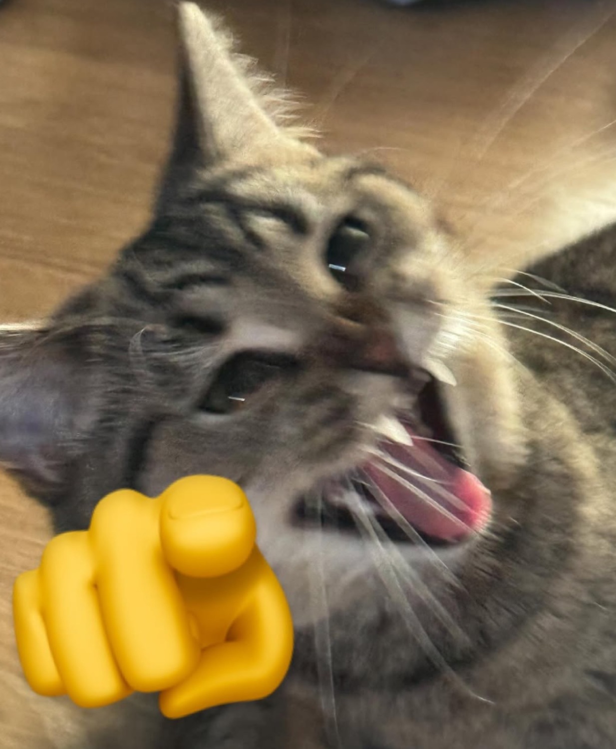 Tabby cat mid-yawn with a pointing-finger emoji, looking like it's calling you out