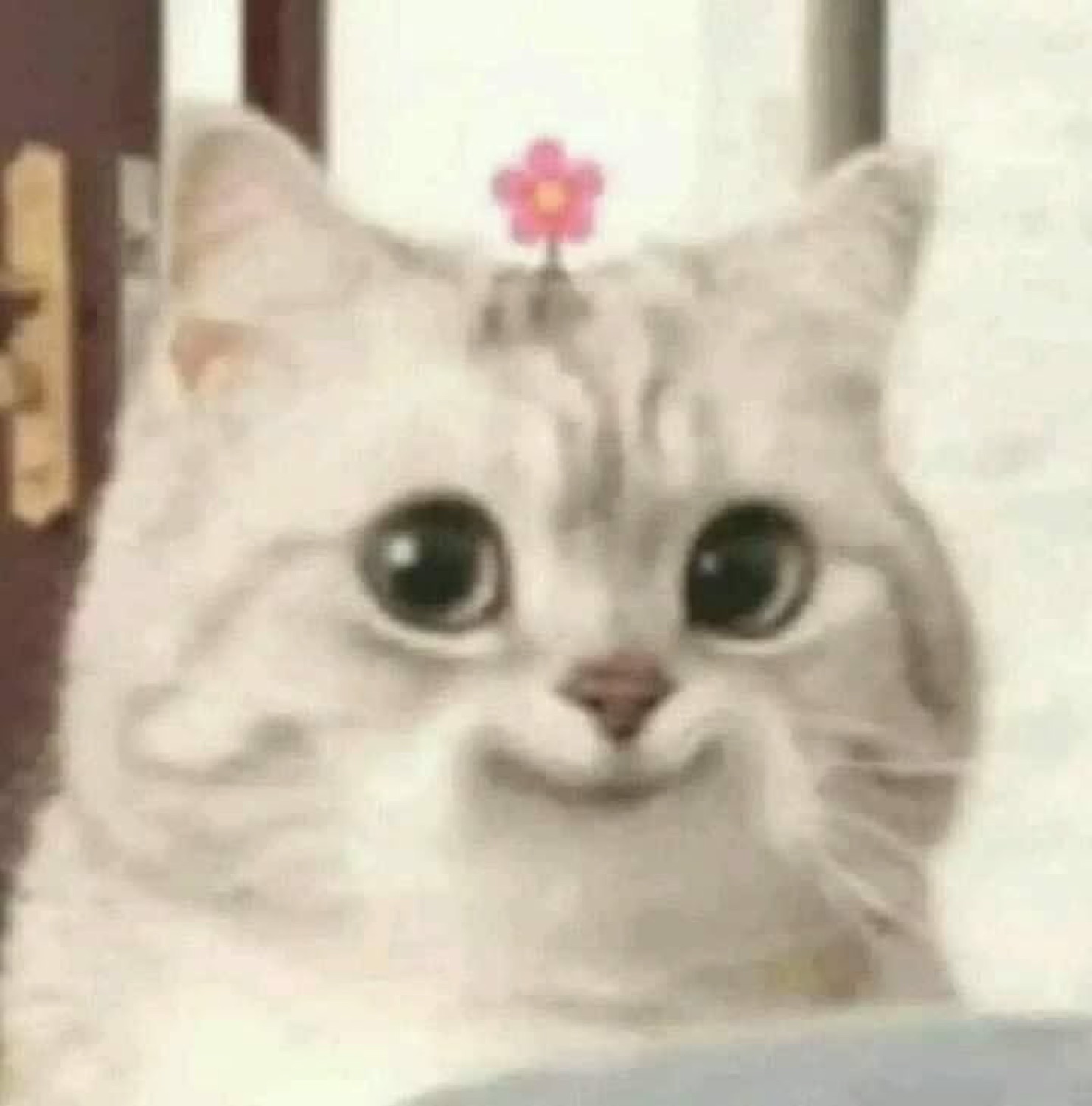 White fluffy cat with huge eyes and a flower on its head, smiling tightly