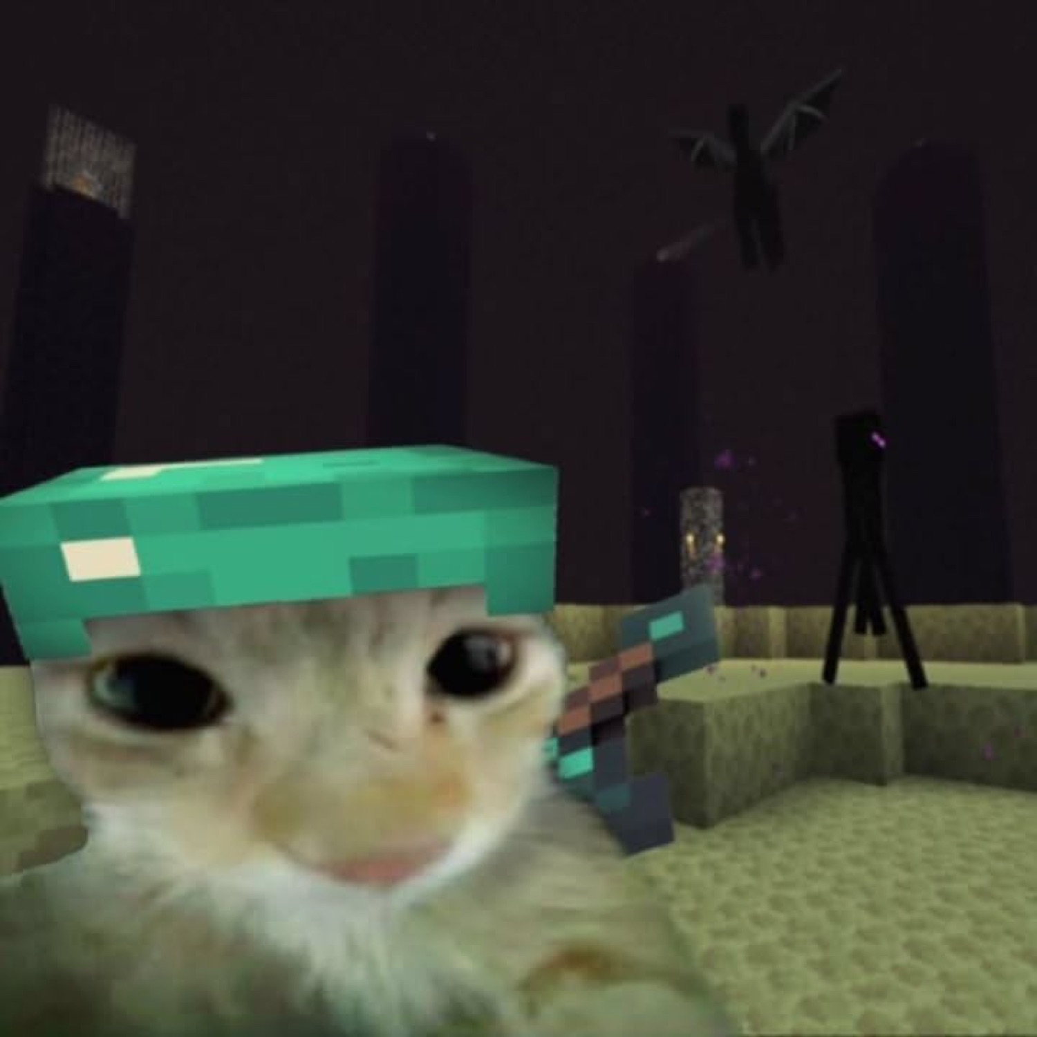 Tabby cat photoshopped into a Minecraft End dimension wearing diamond armor, looking panicked
