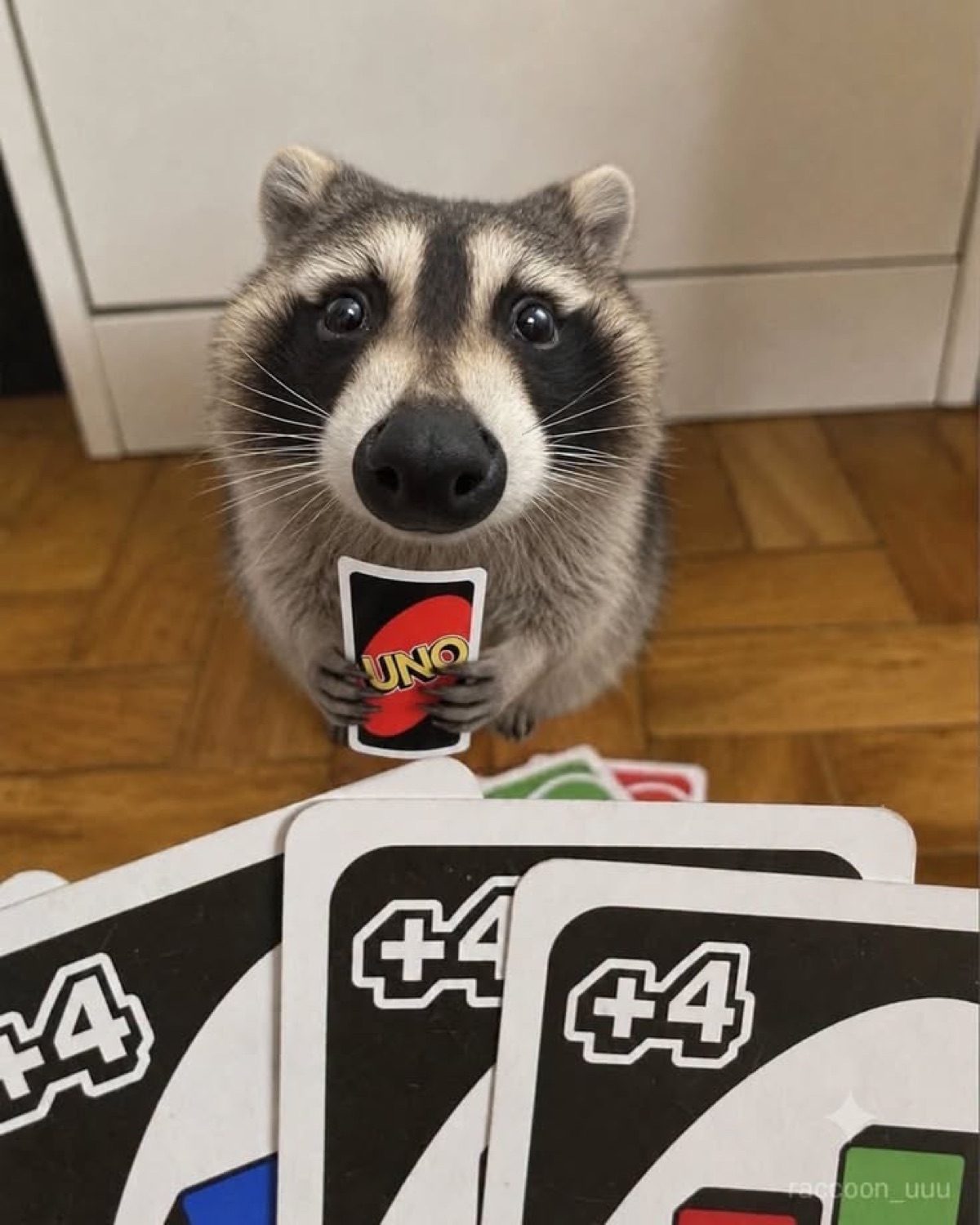 Raccoon smugly holding an UNO card over a pile of +4 cards