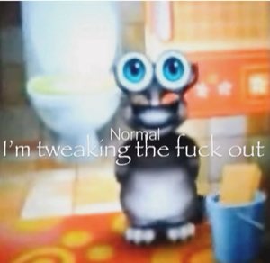 Talking Tom cat with massive wide eyes staring straight ahead — 'Normal / I'm tweaking the fuck out'