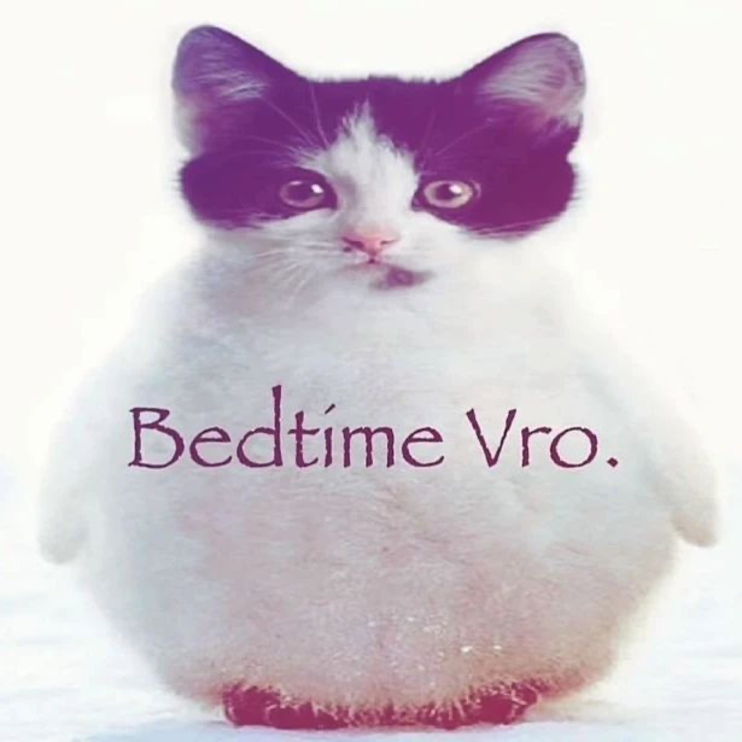 Round tuxedo kitten with a blank stare captioned 'Bedtime Vro.'